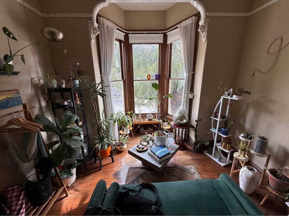 Plant-filled Victorian room